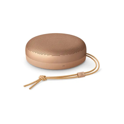 Bang & Olufsen Beosound A1 3rd Gen