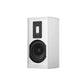 Piega Premium 301 wireless